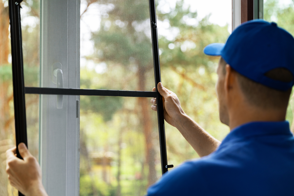 screens Window screen cleaning