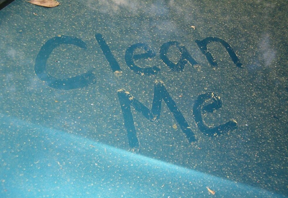 How Often Should I Have My Windows Cleaned?